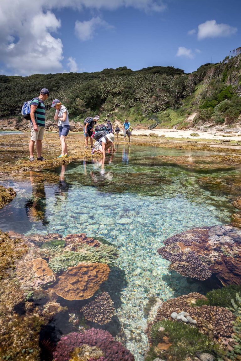 Exploring the Middle Beach pools, Lord Howe Island