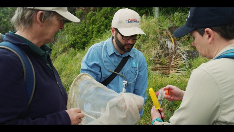 Australian Geographic Expedition, Lord Howe Island