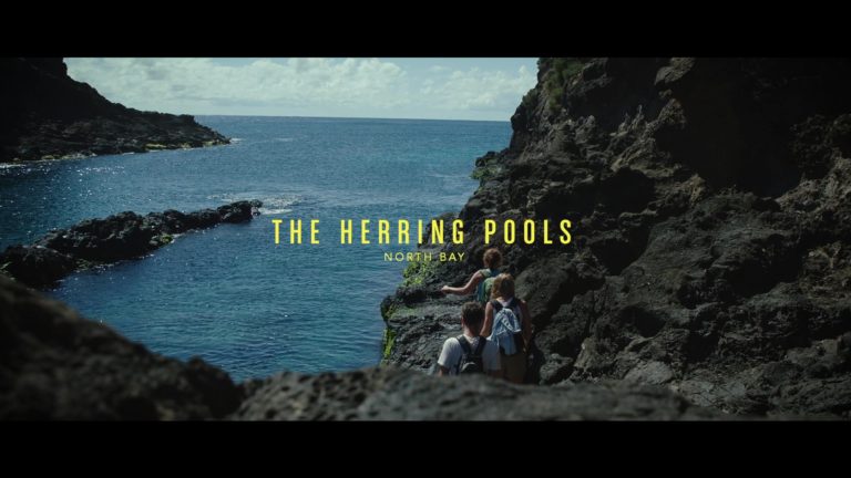 The Herring Pools, Mt Gower Trek, Lord Howe Island