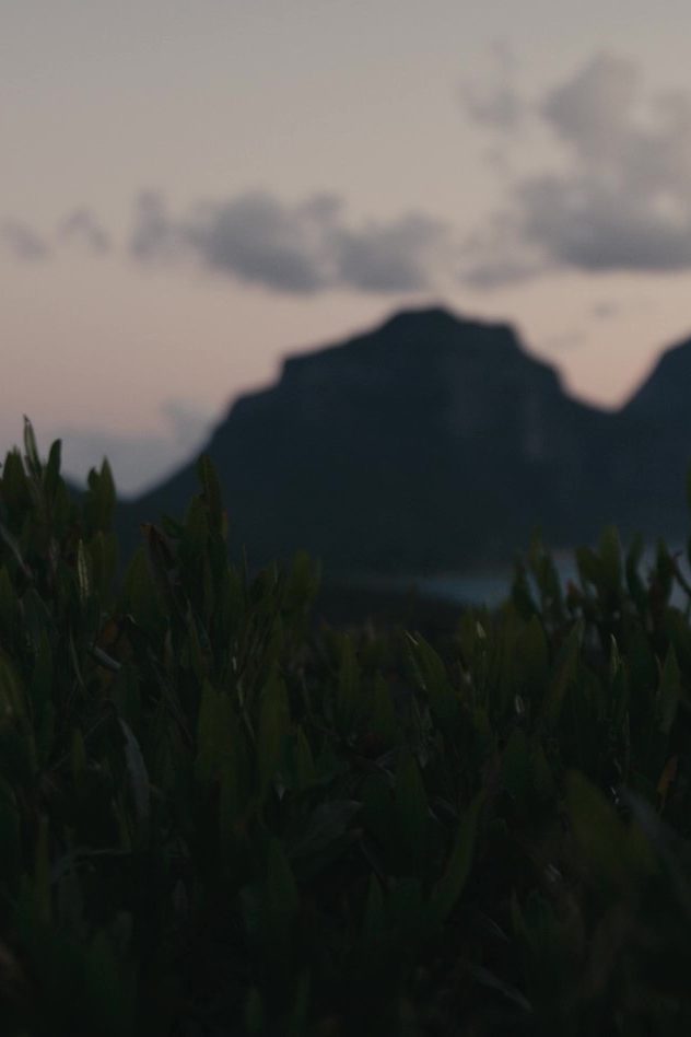 Trailer for Local's Guide