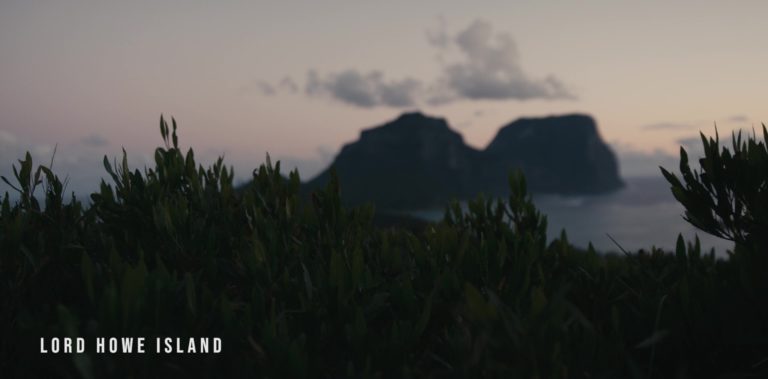 Trailer for Local's Guide