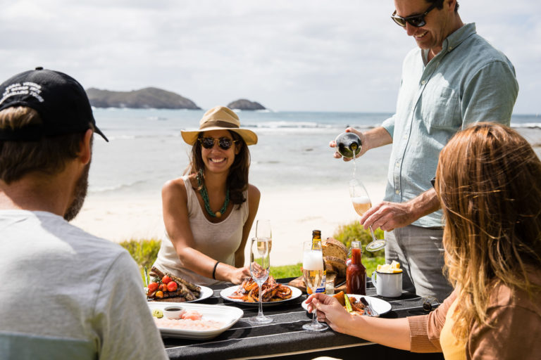 A BBQ at Neds Beach, Lord Howe Island