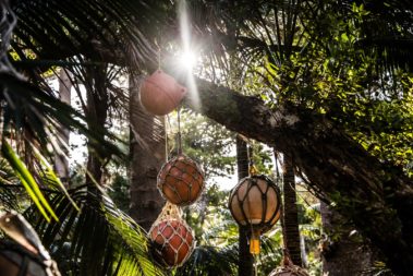 Buoys in the Pinetrees garden, Lord Howe Island