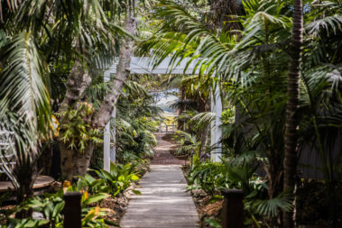 The path to the boatshed, Lord Howe Island