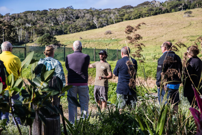 Guests in the Pinetrees market garden, Lord Howe Island