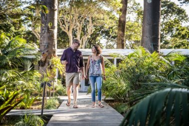 On the boardwalk from the Under the Pines rooms, Lord Howe Island
