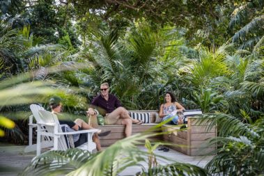 Relaxing in the shade of the Pinetrees gardens, Lord Howe Island