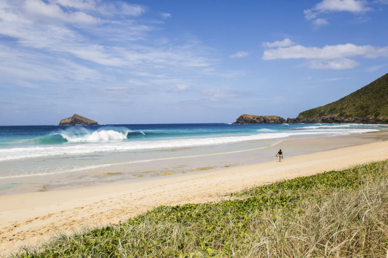 Perfect A-frame waves at Blinky Beach, Lord Howe Island