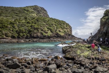 Walking from the Old Gulch to the Herring Pools, Lord Howe Island
