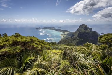 The view from Mt Gower, Lord Howe Island