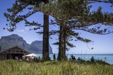 Afternoon perfection at the Pinetrees boatshed, Lord Howe Island