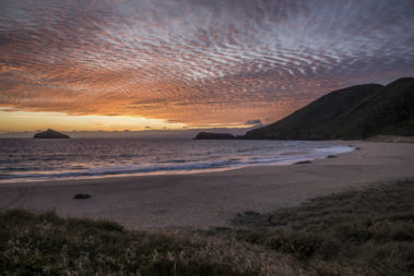 Dawn at Blinky Beach, Lord Howe Island