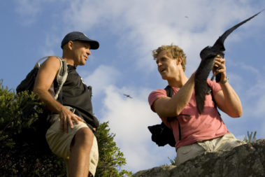 Dr Chris Brown, aka the Bondi Vet, with a Providence petrel, Lord Howe Island