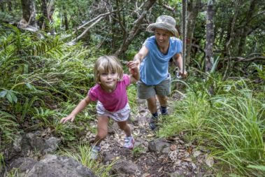 Pixie's first climb to Goat House, Lord Howe Island