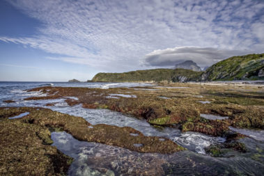 Exploring the Middle Beach rock shelf at low tide, Lord Howe Island