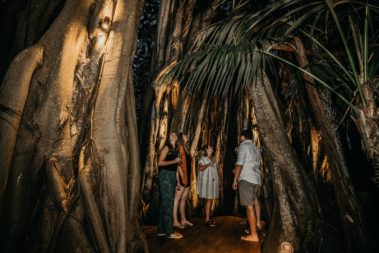Evening drinks on the Banyan deck, Lord Howe Island
