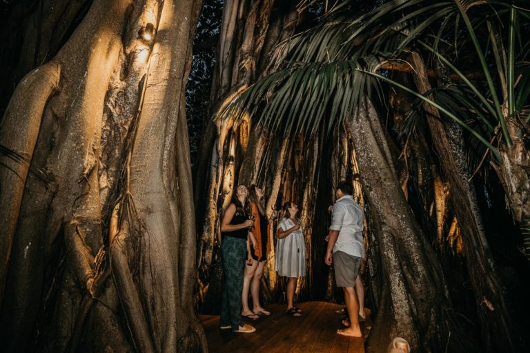 Evening drinks on the Banyan deck, Lord Howe Island
