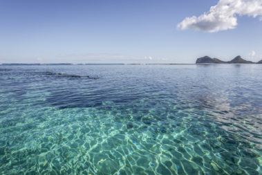 Snorkelling with the current near Erscotts Hole, Lord Howe Island