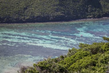 Snorkel boat over the coral gardens in North Bay, Lord Howe Island
