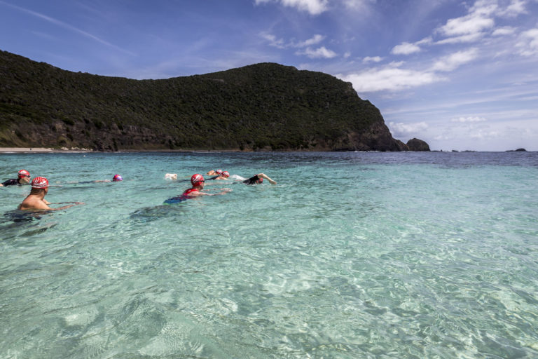 Ocean swimmers at Neds Beach, Lord Howe Island