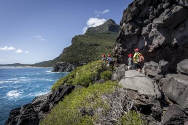 Exploring the sea cliffs below Mt Gower, Lord Howe Island