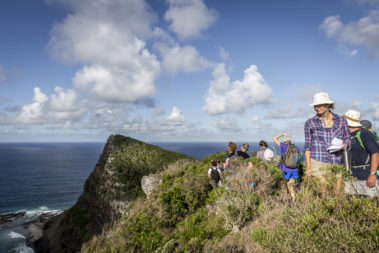 Walkers on the Malabar ridge, Lord Howe Island