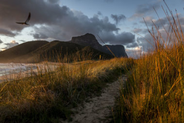 Dawn light at Blinky Beach, Lord Howe Island