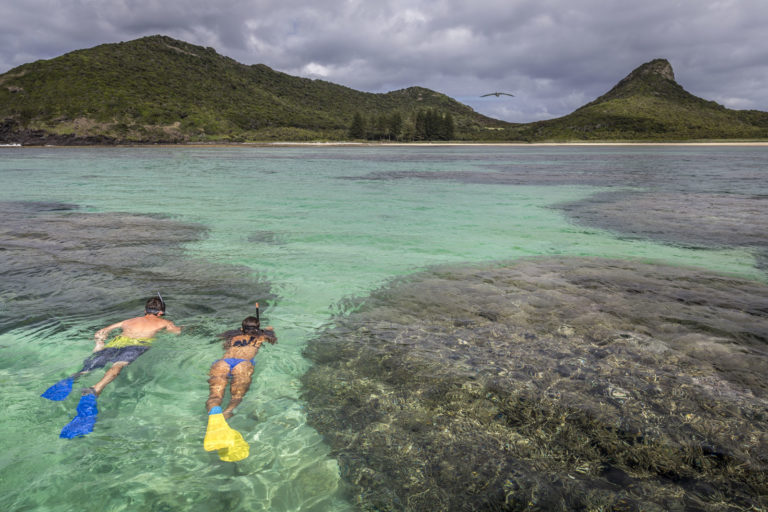 Snorkelling in the Lord Howe Island Lagoon
