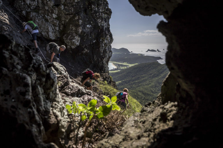 Descending the ropes from Goat House, Lord Howe Island