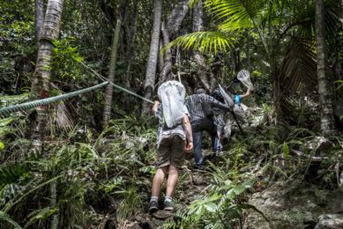 Australian Geographic Expedition climbing on Mt Lidgbird, Lord Howe Island