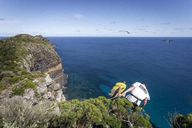 Andy Lloyd filming Erin Mayo near Malabar, Lord Howe Island