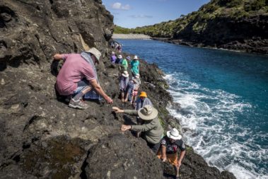 Walkers en route to the Herring Pools, Lord Howe Island