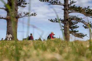 Pinetrees picnic lunch at Lovers Bay, Lord Howe Island