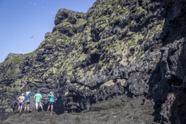 Below the cliffs of Malabar, Lord Howe Island