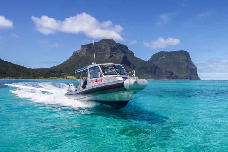 ProDive's boat MV Pinnacle, Lord Howe Island