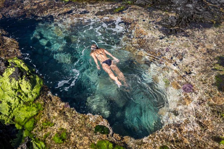 Snorkelling | Pinetrees Lodge | Lord Howe Island