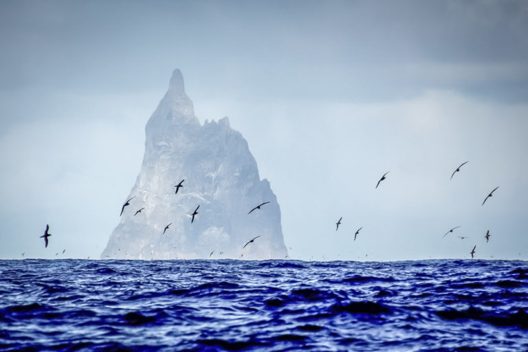 Balls Pyramid is one of the best dive sites in the world, Lord Howe Island