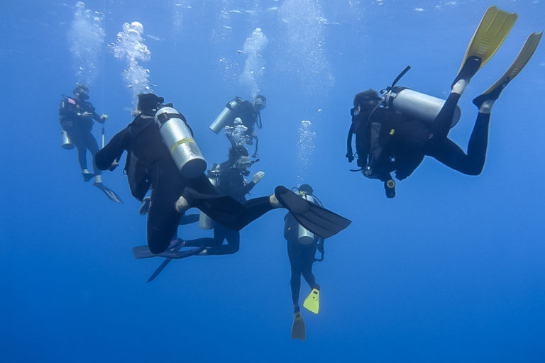 Decompression stop from a deep dive, Lord Howe Island