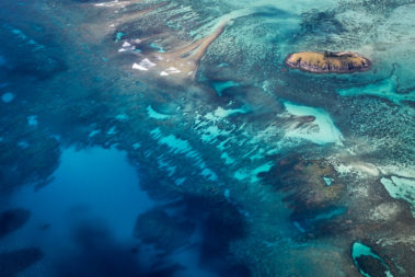 Choose your own surfing, snorkelling, diving, or swimming adventure, Lord Howe Island