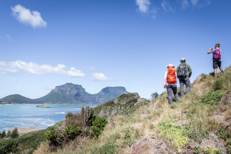 Climbing in the northern hills, Lord Howe Island