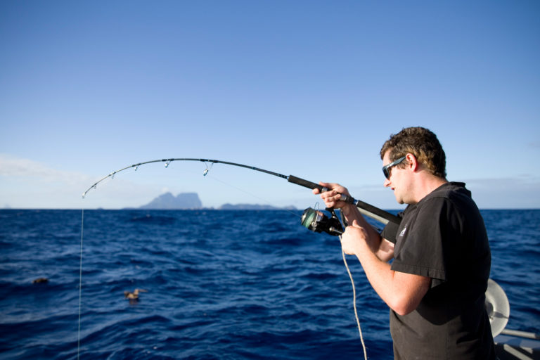 Al's kingfish is fighting hard, Lord Howe Island