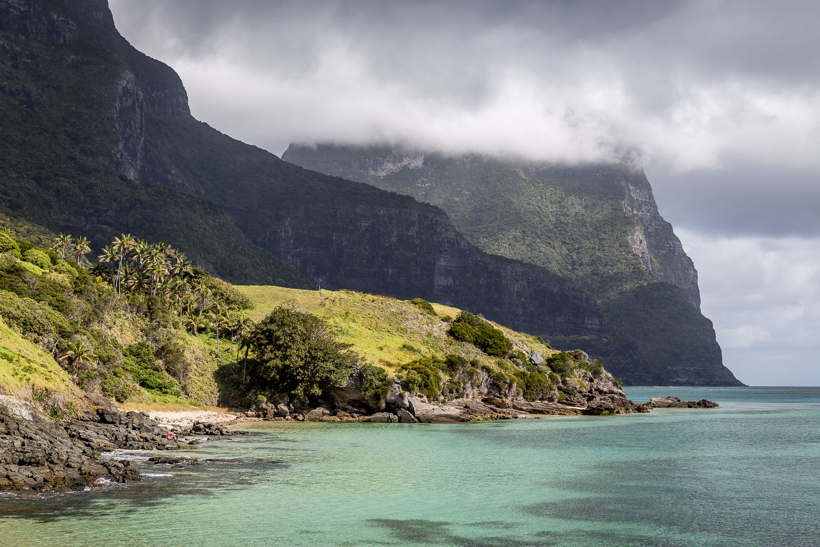 Lovers Bay | Pinetrees Lodge | Lord Howe Island