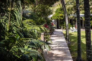 The boardwalk past the Transit Hill rooms, Lord Howe Island