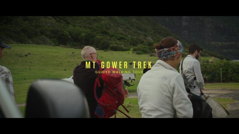 Mt Gower Trek, Lord Howe Island