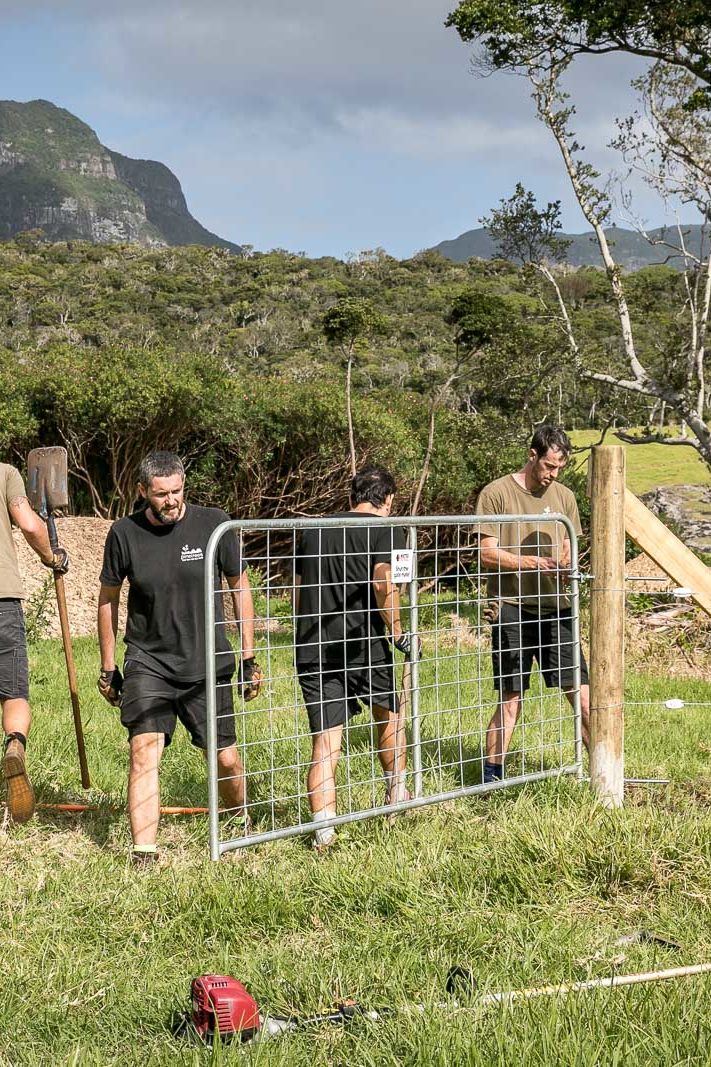 Al and the boys hanging a new gate