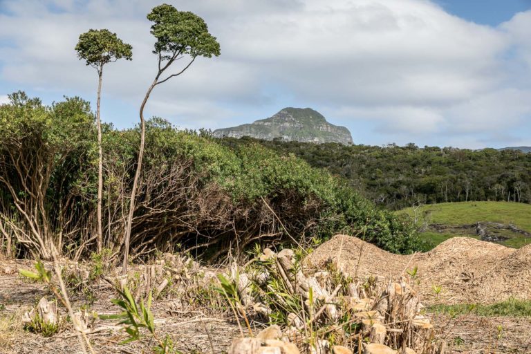 Restoration requires destruction, or something like that